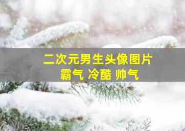 二次元男生头像图片 霸气 冷酷 帅气